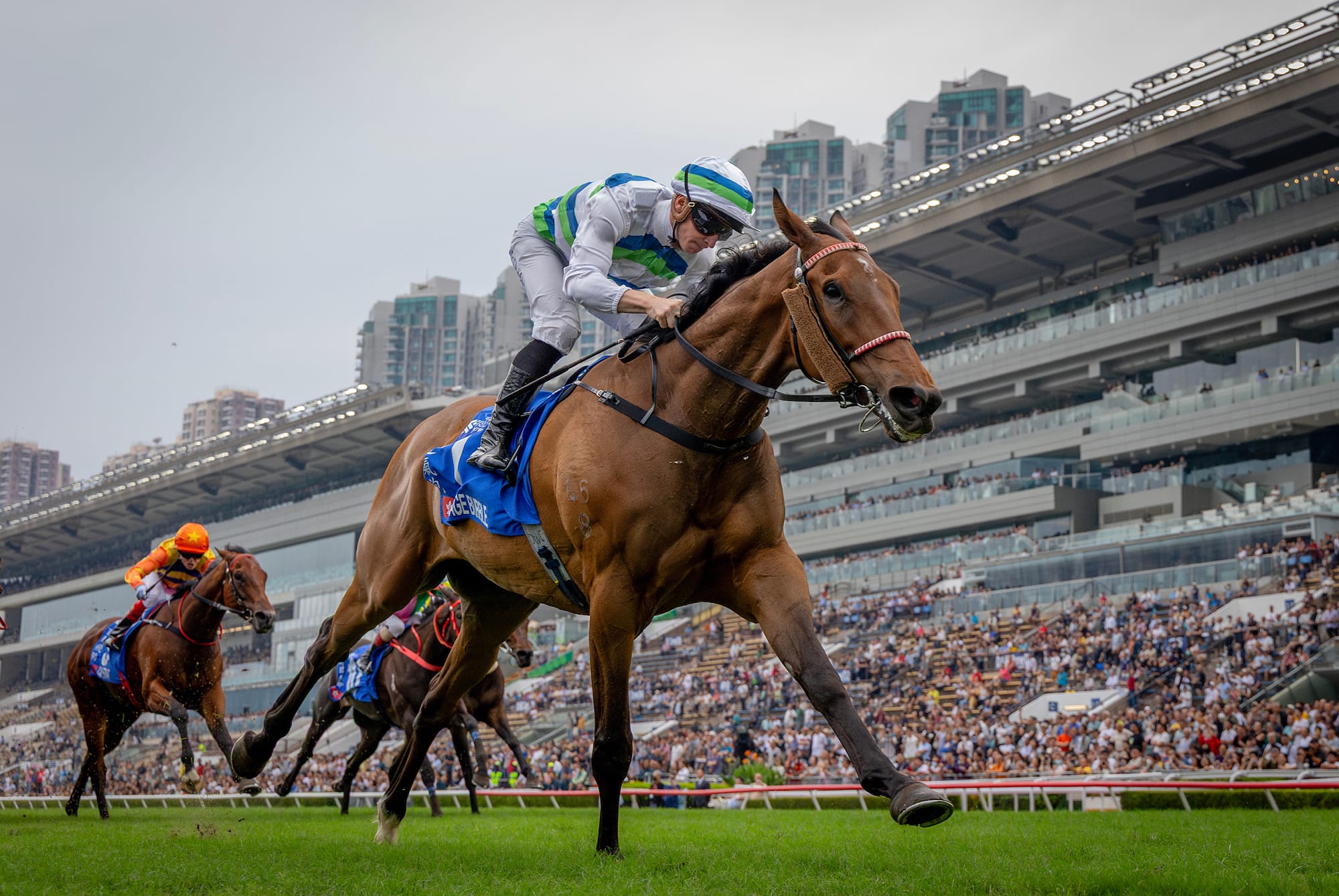 Voyage Bubble is named Champion Miler and Champion Stayer. Voyage Bubble is named Champion Miler and Champion Stayer.