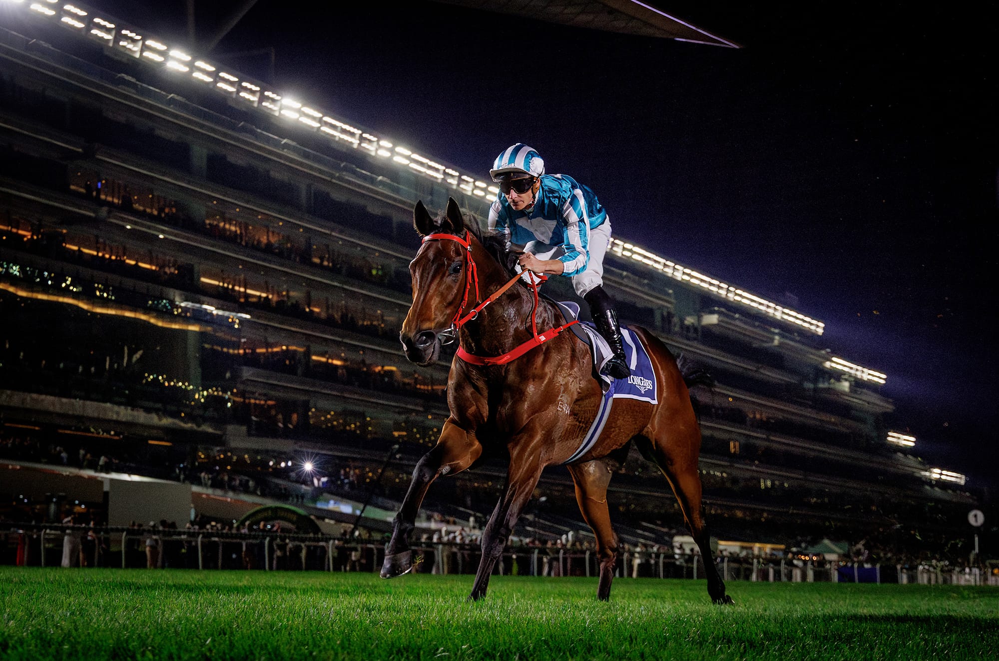 Romantic Warrior is crowned Champion Middle-Distance Horse. Romantic Warrior is crowned Champion Middle-Distance Horse.
