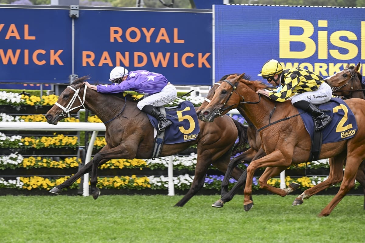 Feature entries close, Aeliana warning remains