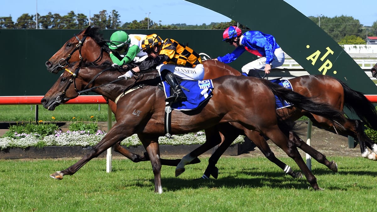 Noble on Group One path with Habana