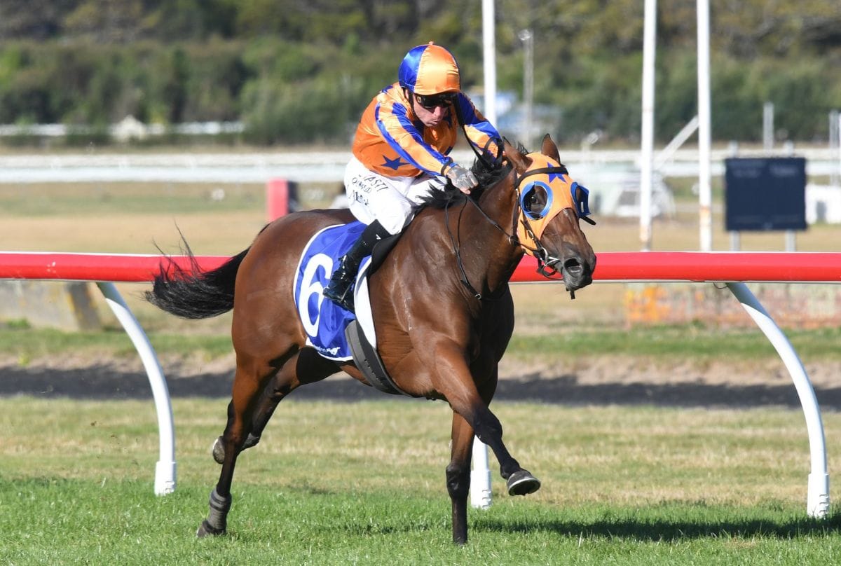La Dorada to contest Moir Stakes