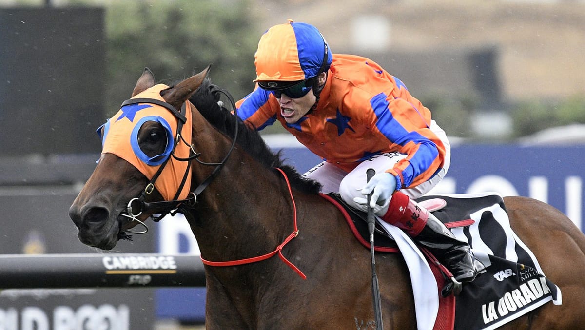 Te Akau filly with point to prove at The Valley