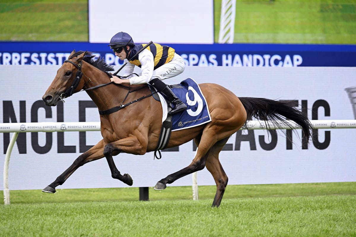 Stakes target for smart stayer She’s Unusual
