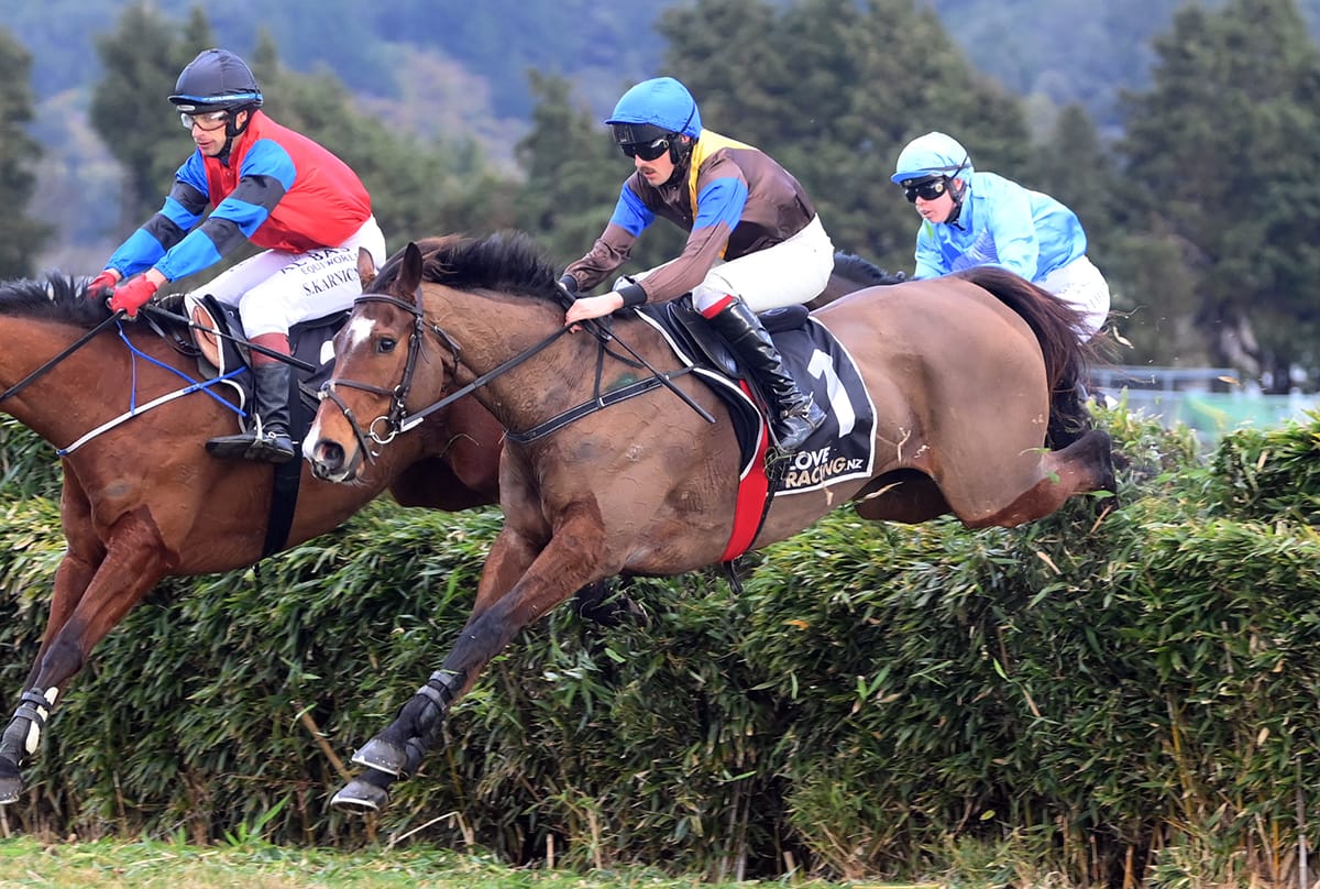 Champion jumper The Cossack retired
