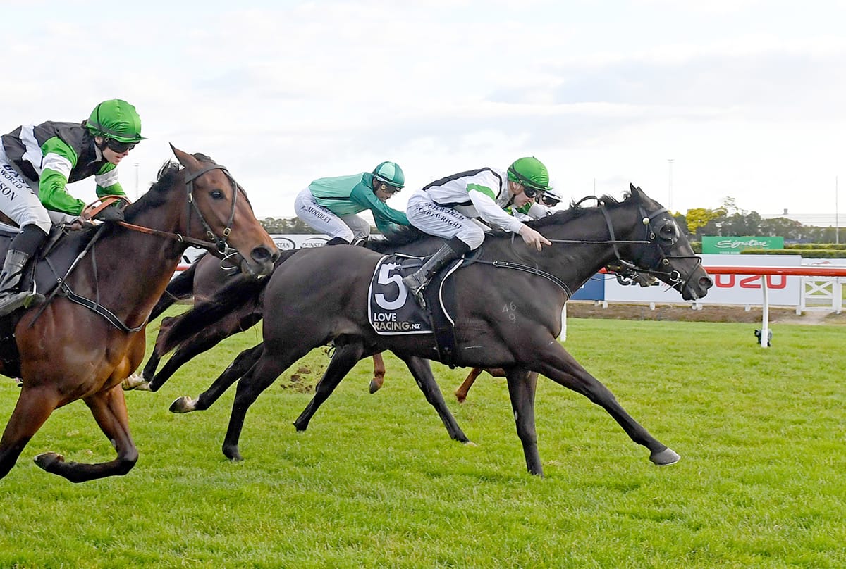 Agera ideally suited to Matamata Cup trip