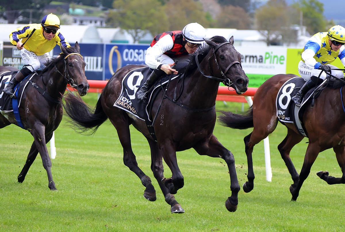 Alexanders eye potential Derby path with exciting debut winner