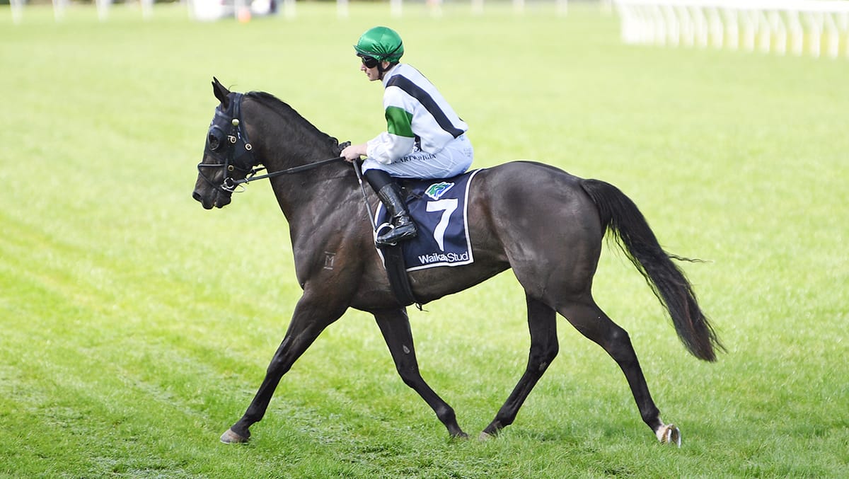 Agera flies to Matamata Cup success