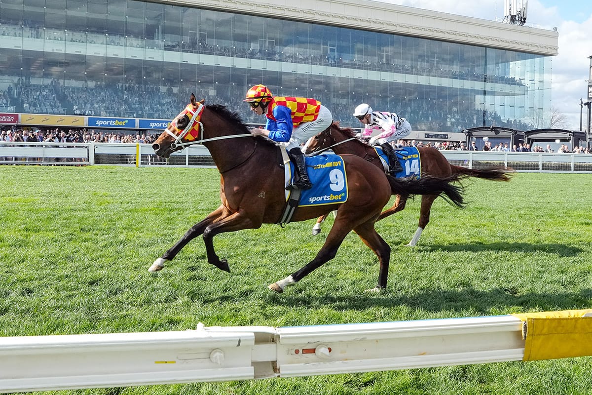 Caulfield Guineas glory for New Zealand owner and breeder