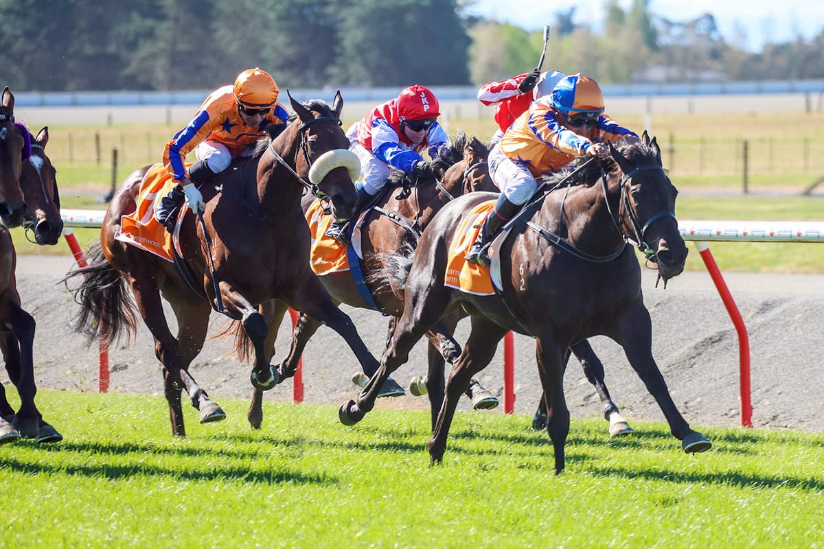 Cool Aza Rene back on top in Barneswood