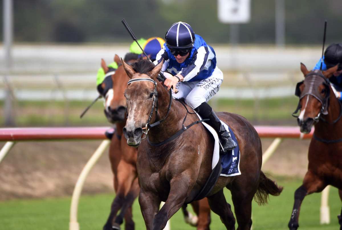 Mynott excited about her prospects at Tauranga