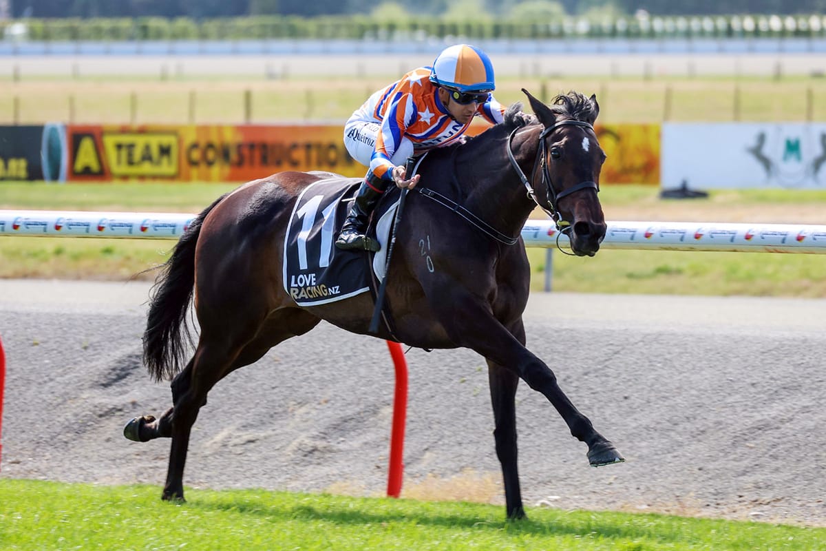 Court Of Appeal produces impressive New Zealand Cup dress rehearsal