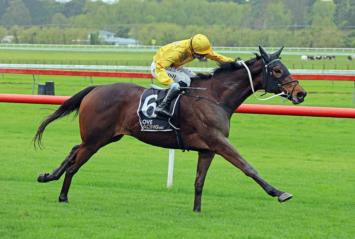 Best yet to come from quirky stayer Danjuro