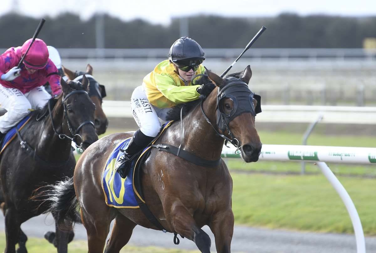 Wood hoping to strike gold with maiden gelding