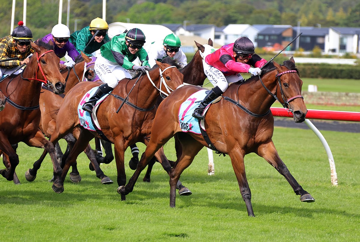 Course specialists capture Trentham features