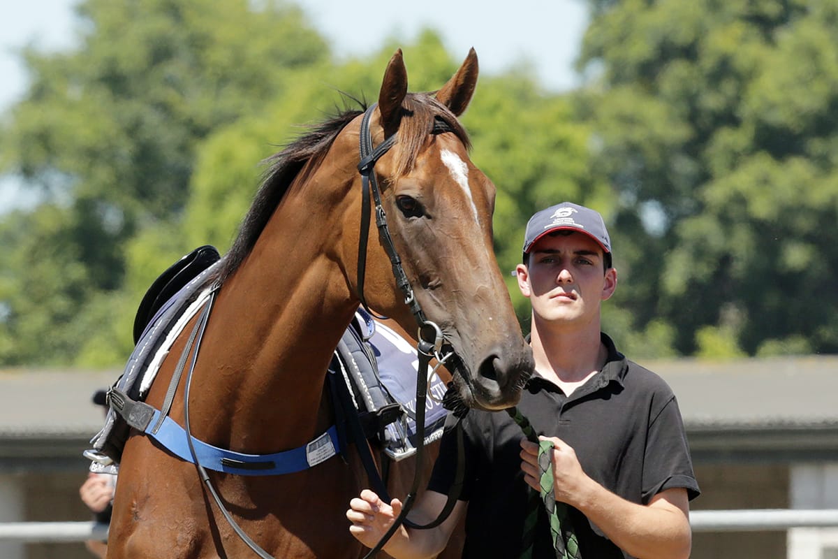 Foote steps into the limelight under St Kilda Lodge