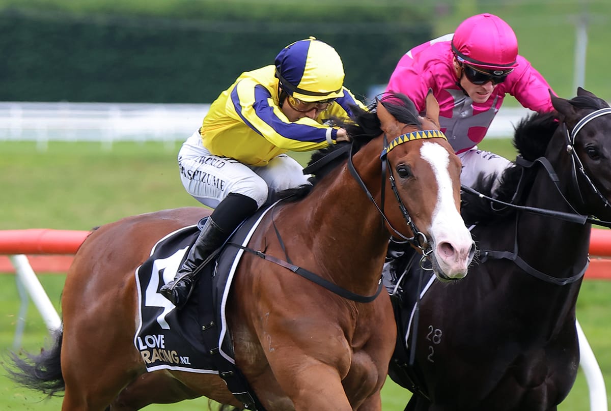 Weekend off to a winning start for Wexford