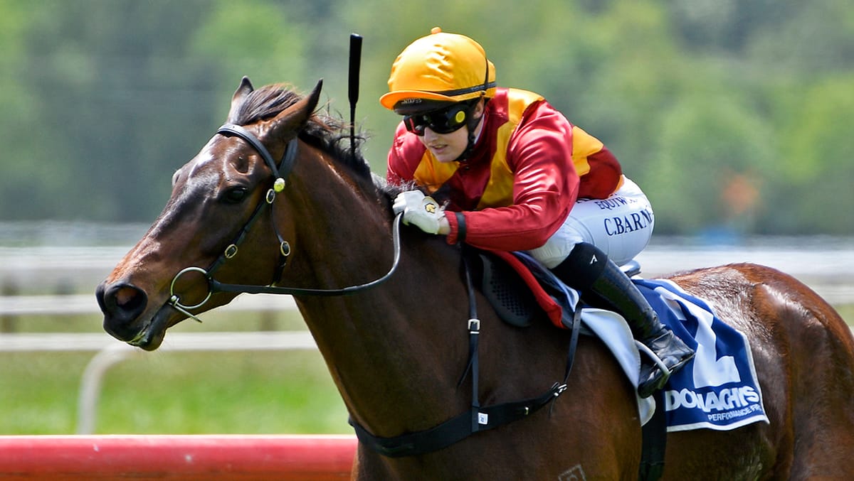 Adlington building towards Boxing Day with History Maker