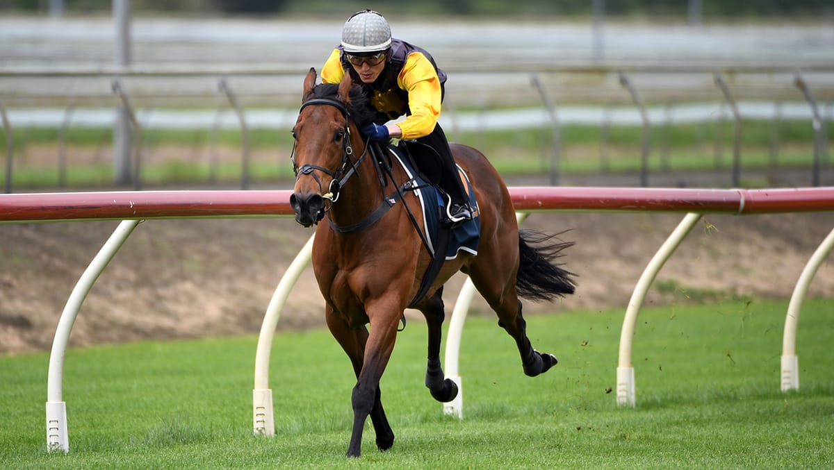 I’munstoppable primed for Legacy Lodge Sprint