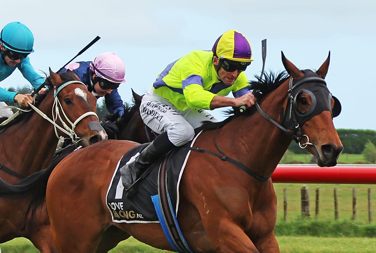 Riddell records 1,000th domestic win