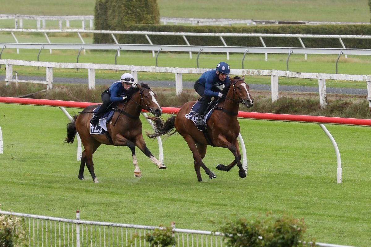 Breeze Ups Complete for 2025