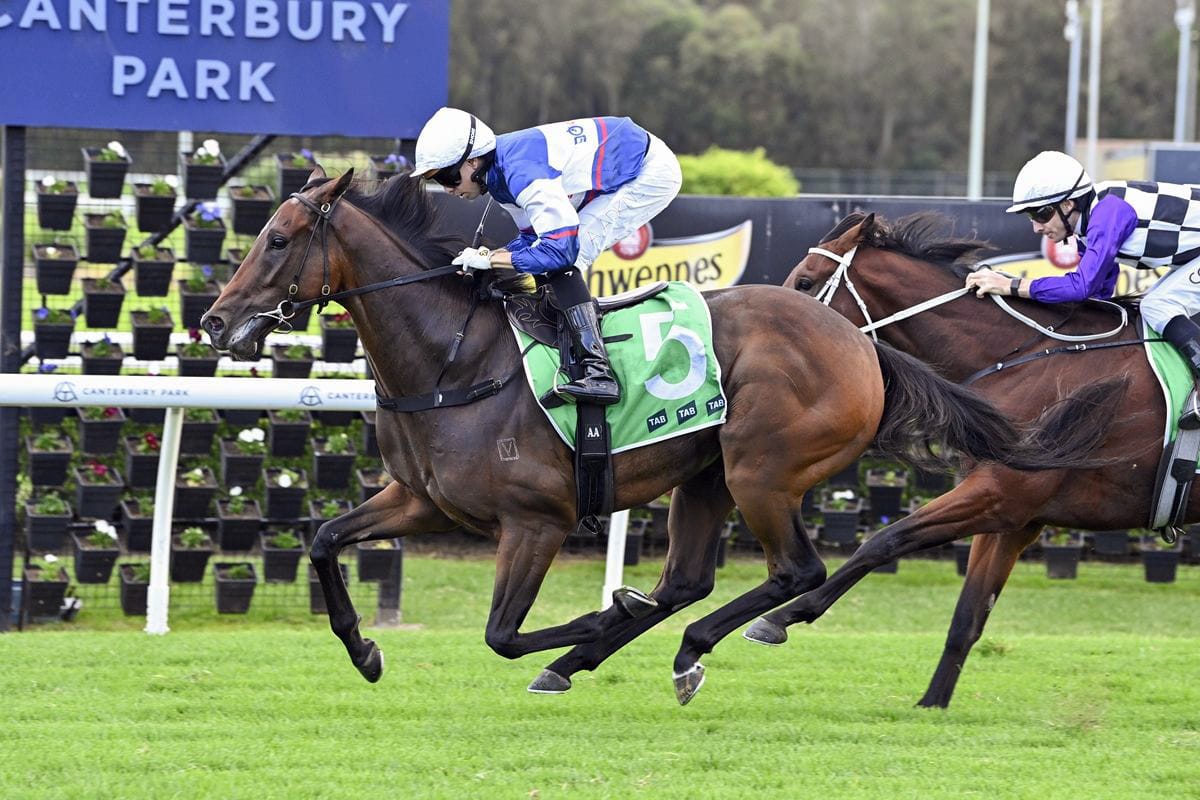 Go Racing aiming to start November with a bang