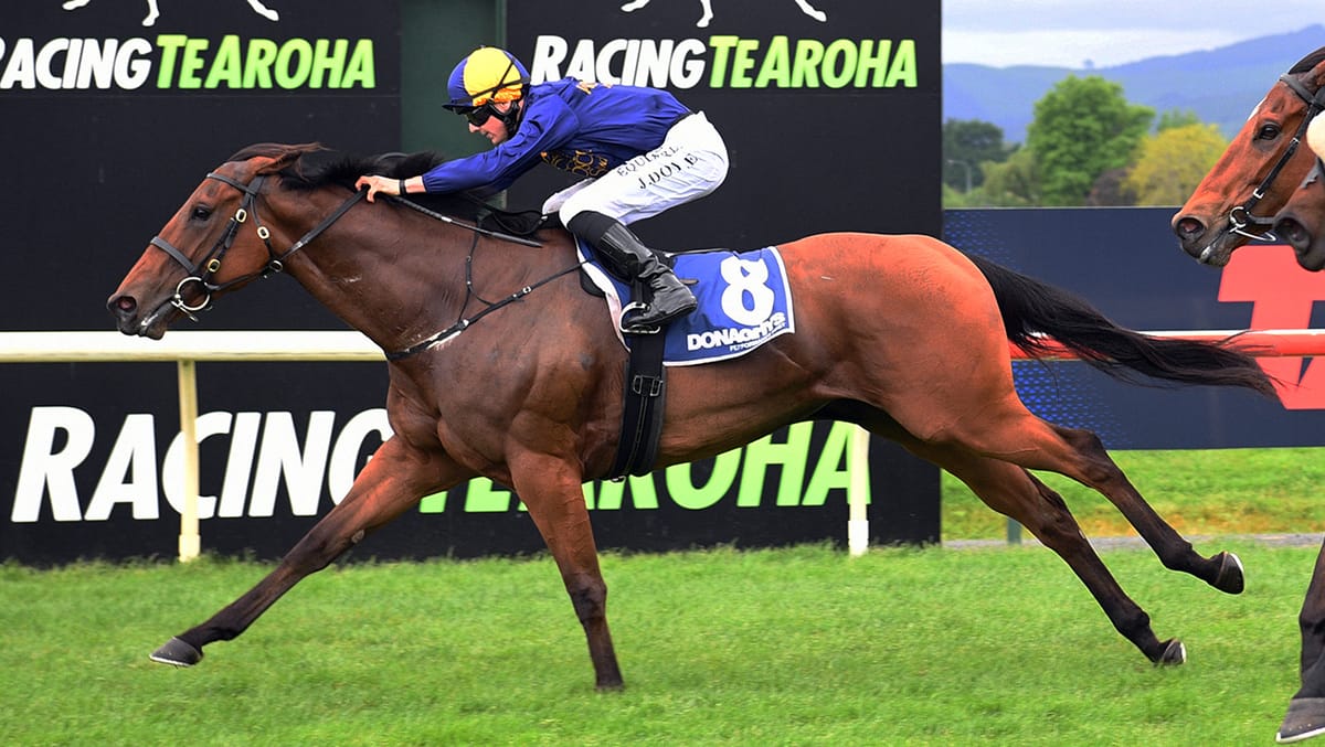 Nepheti back on top first up