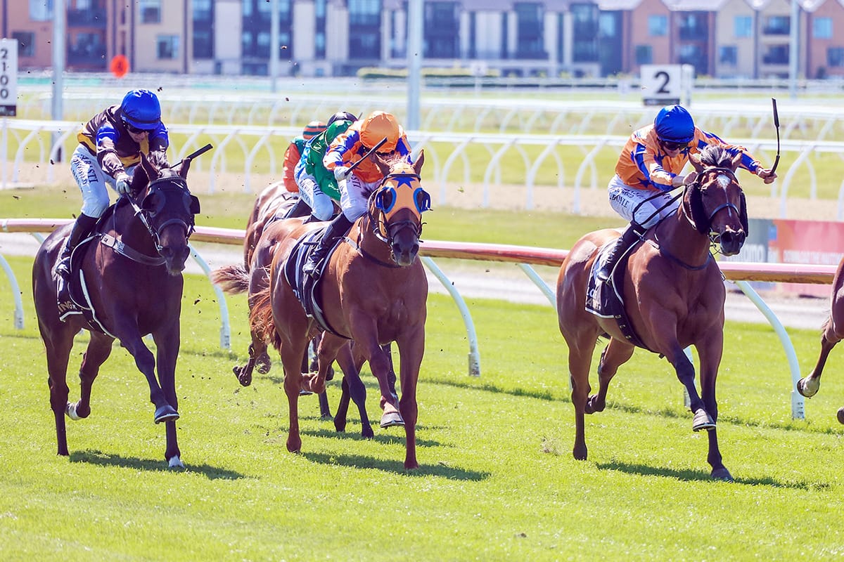 Te Akau strengthens Guineas hand