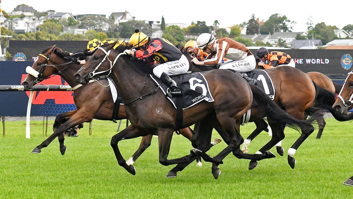 Provence primed for exciting prep