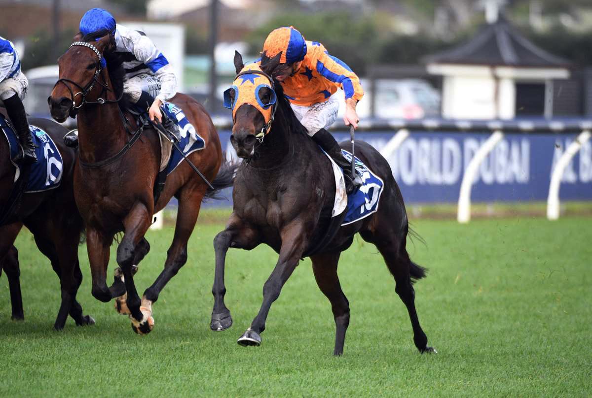 Stable hoping Quintessa can overcome less than ideal build-up