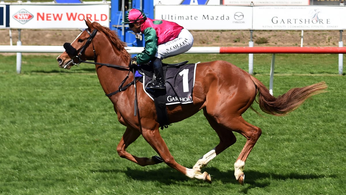 Faber scores first training win