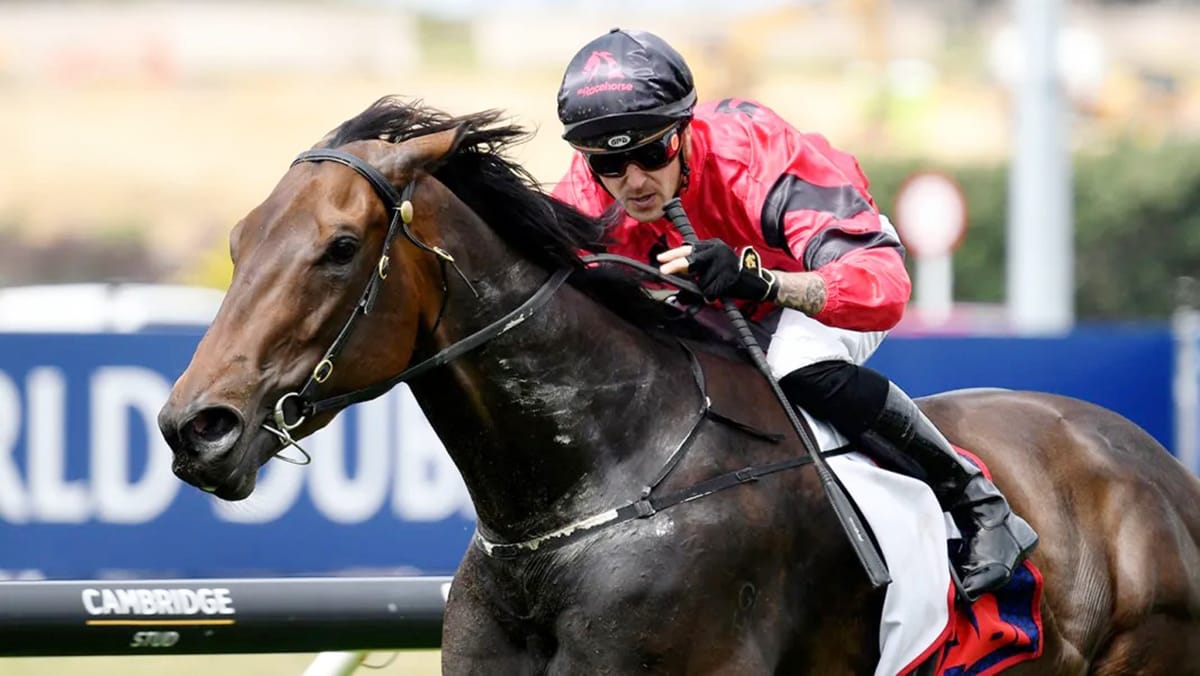 Willydoit ready for Epsom challenge