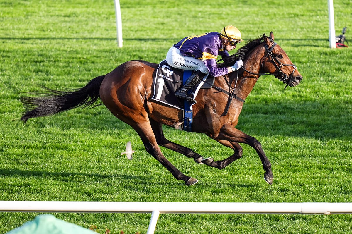 Unwanted youngster joins Everest challenge