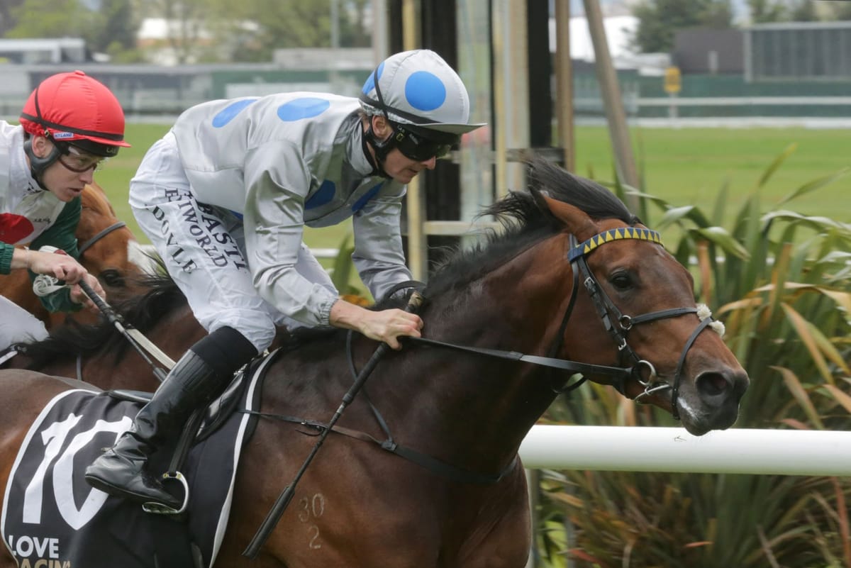 Powerful debutant kicks off Wexford treble