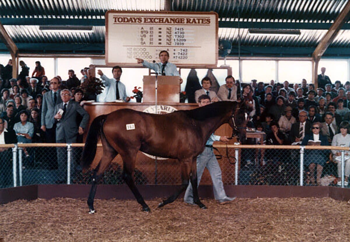 A Century of National Yearling Sales Success: Caulfield Cup