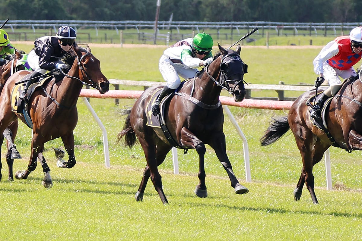Pike chasing dual Island stakes success