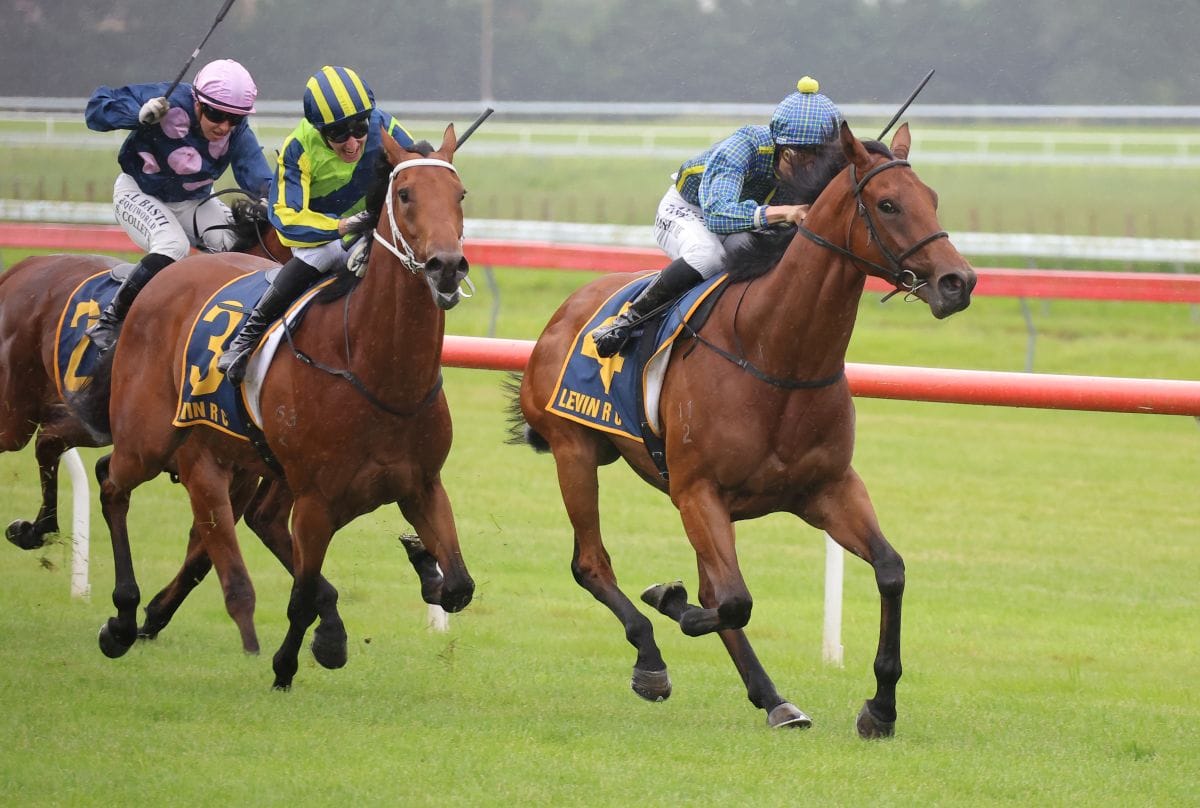 Ammirati wins dramatic Wellington Stakes