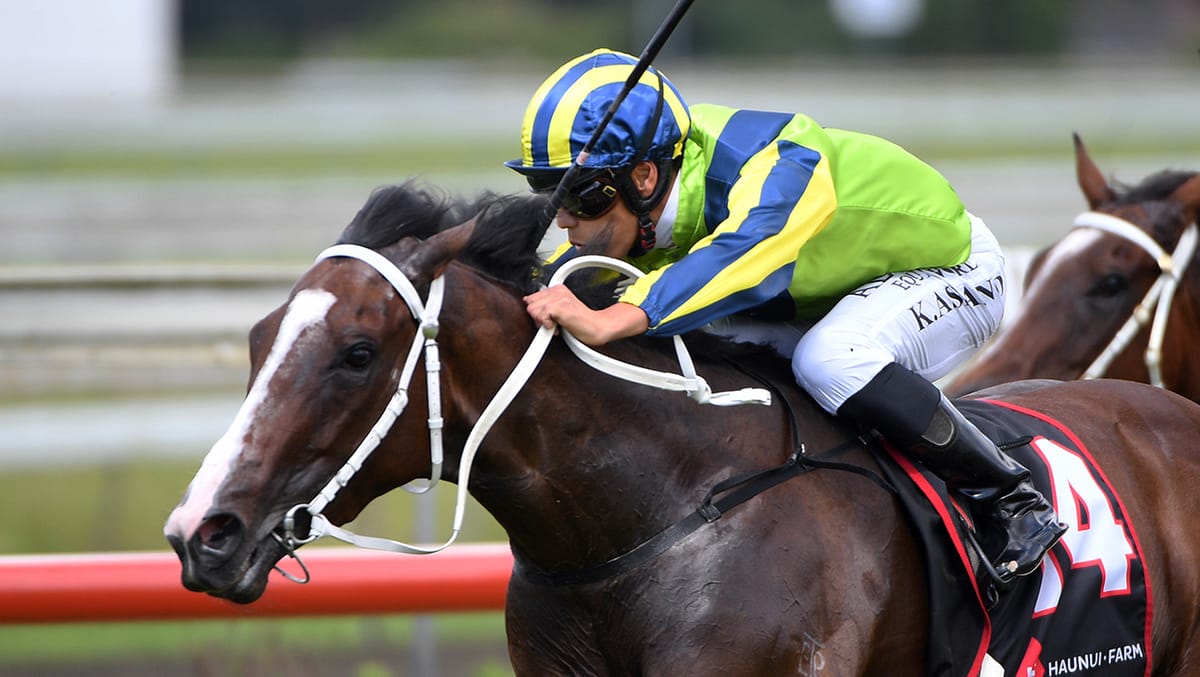 Elsdon stakes double claim at Pukekohe