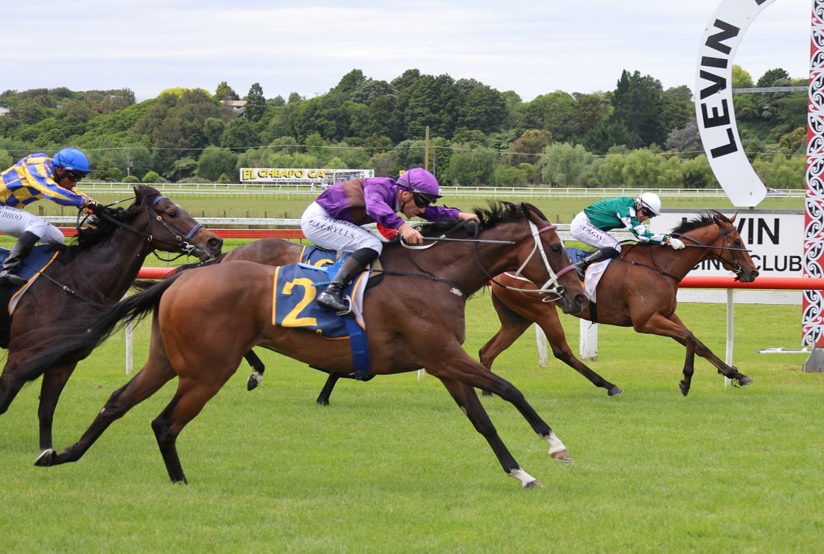 Azeezle all the way in Levin Stakes
