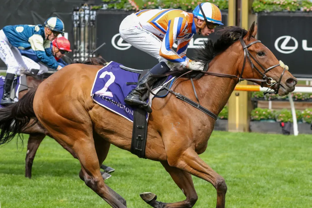 Surprise return for Bellatrix Star