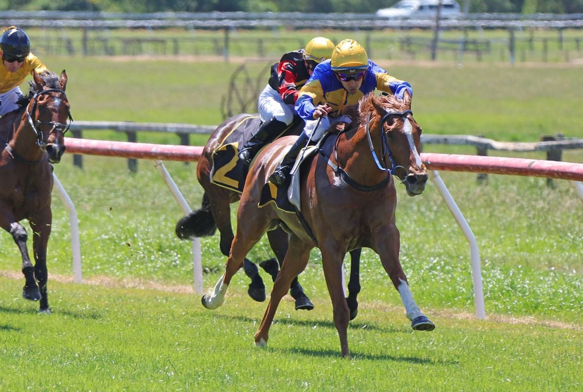 Driftin sprints to impressive upset at Tauherenikau