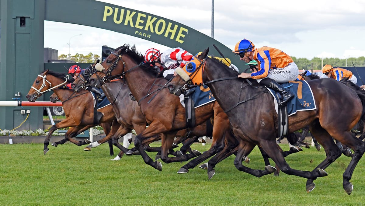 Nicholas captures Counties Cup with mid-race masterstoke