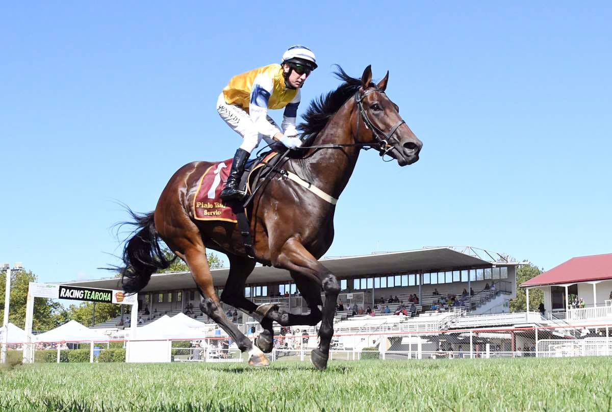 Greene excited for emerging stable star’s return