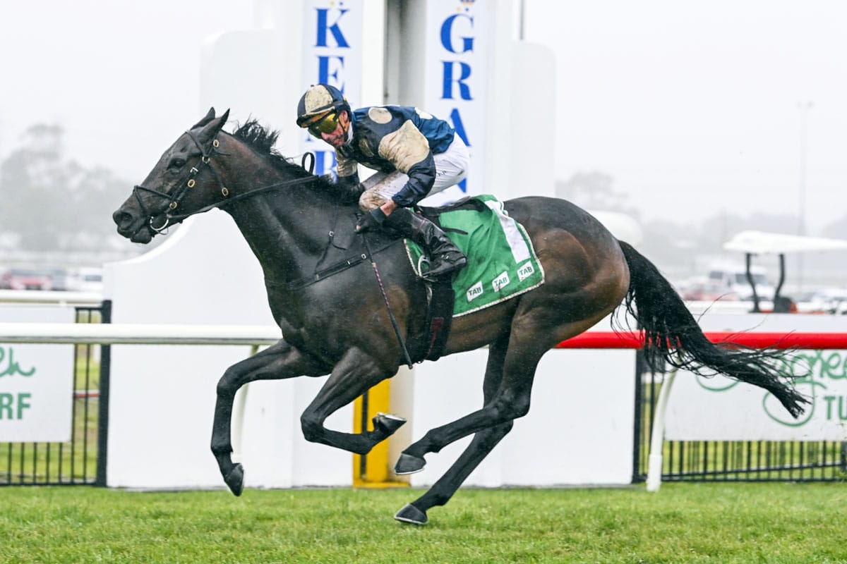 Gringotts goes back-to-back in The Gong