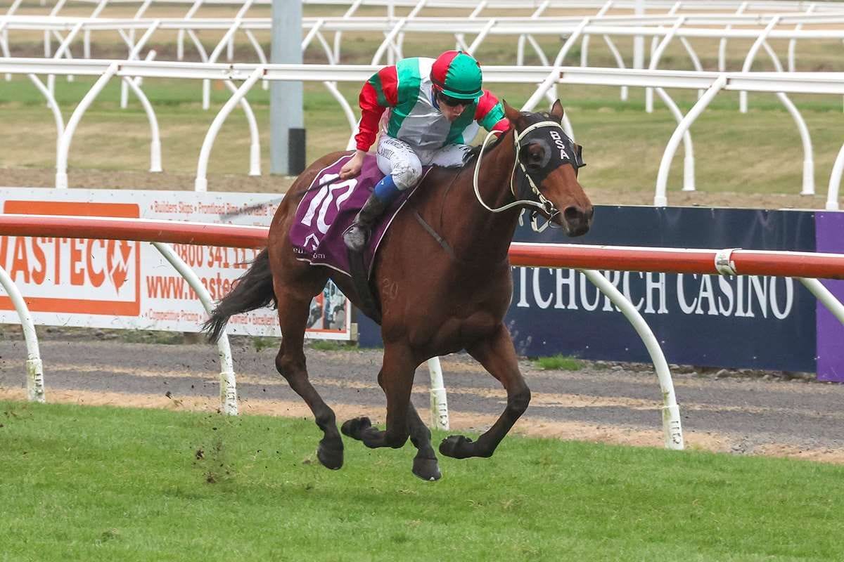 Andertons bringing strength in numbers to Wingatui