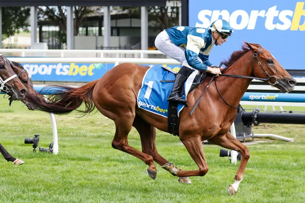 Jimmysstar’s brother to jumpout