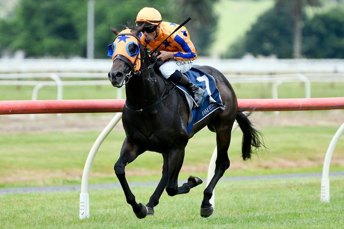 Regally-bred colt scores impressive maiden victory