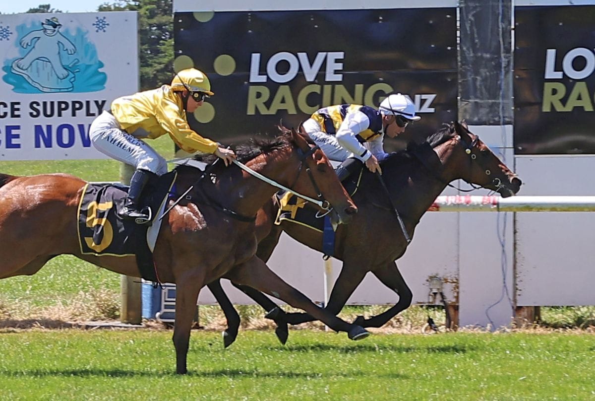 Forsman and Grylls on fire in Central Districts