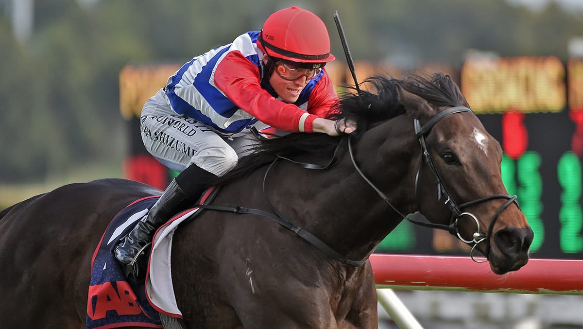 Wallbank keen on Midnight Edition’s home track prospects