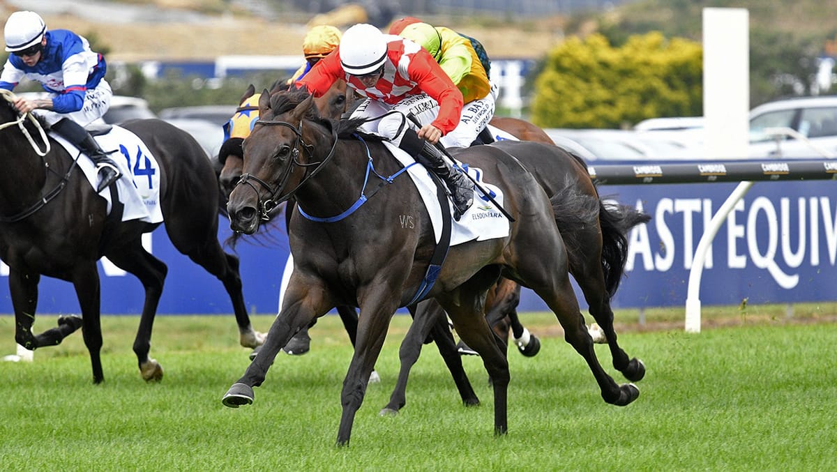 Track a concern for high-class performer