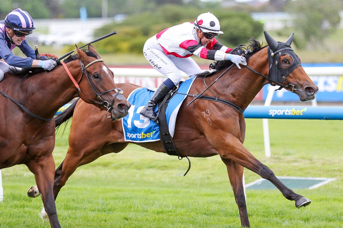 Proved secures first black-type success